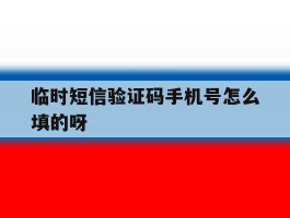 临时短信验证码手机号怎么填的呀