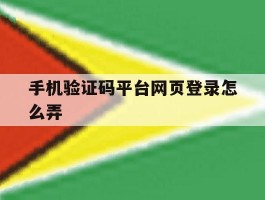 手机验证码平台网页登录怎么弄