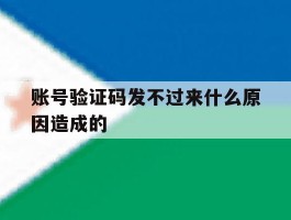 账号验证码发不过来什么原因造成的