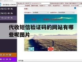 代收短信验证码的网站有哪些呢图片