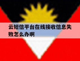 包含云短信平台在线接收信息失败怎么办啊的词条