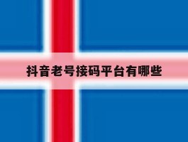抖音老号接码平台有哪些