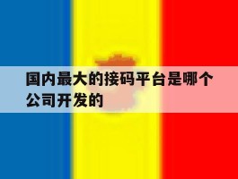 包含国内最大的接码平台是哪个公司开发的的词条