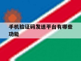 手机验证码发送平台有哪些功能
