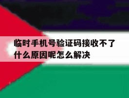 关于临时手机号验证码接收不了什么原因呢怎么解决的信息