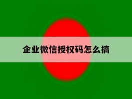 企业微信授权码怎么搞