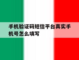 手机验证码短信平台真实手机号怎么填写