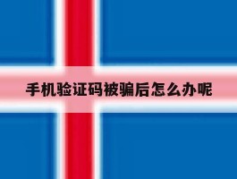 手机验证码被骗后怎么办呢