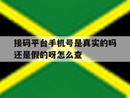 接码平台手机号是真实的吗还是假的呀怎么查