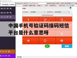 包含中国手机号验证码接码短信平台是什么意思呀的词条