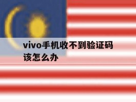 vivo手机收不到验证码该怎么办