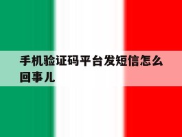 手机验证码平台发短信怎么回事儿