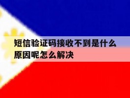 关于短信验证码接收不到是什么原因呢怎么解决的信息