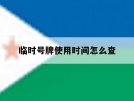 临时号牌使用时间怎么查