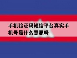 手机验证码短信平台真实手机号是什么意思呀的简单介绍