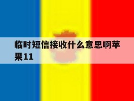 临时短信接收什么意思啊苹果11
